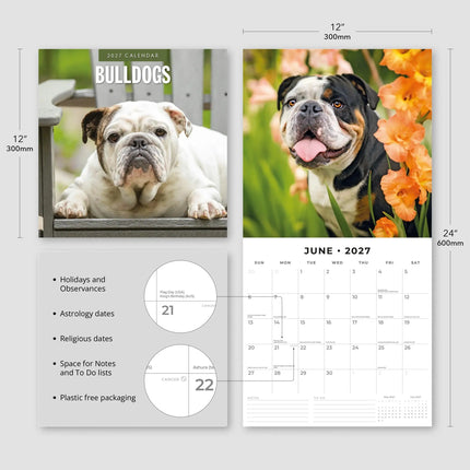 Red Robin Engelse Bulldog Kalender 2027