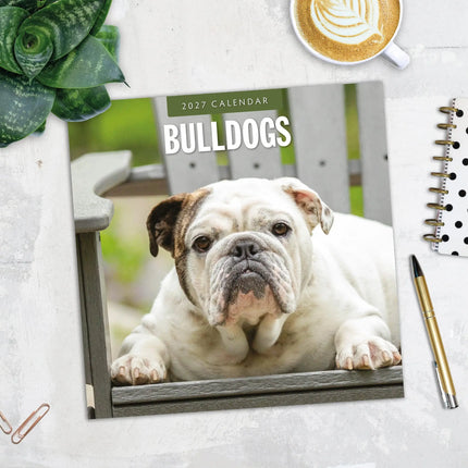 Red Robin Engelse Bulldog Kalender 2027