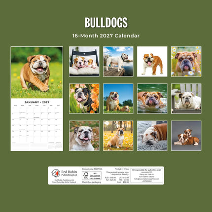 Red Robin Engelse Bulldog Kalender 2027