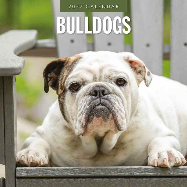 Red Robin Engelse Bulldog Kalender 2027