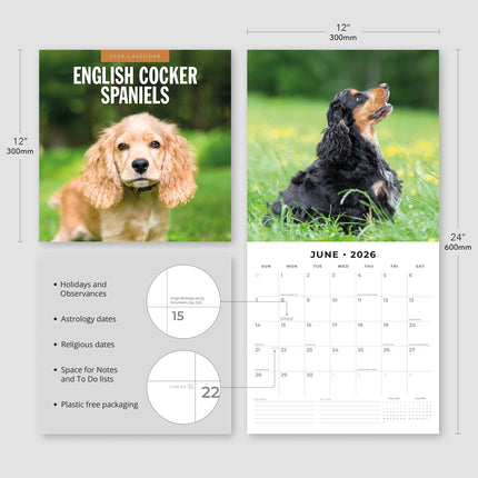 Red Robin Engelse Cocker Spaniel Kalender 2026