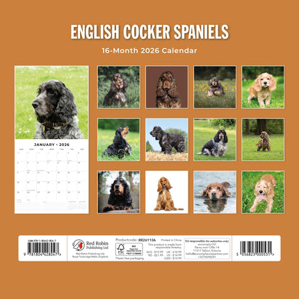 Red Robin Engelse Cocker Spaniel Kalender 2026