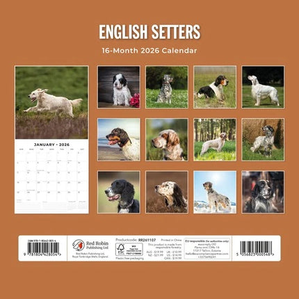 Red Robin Engelse Setter Kalender 2026