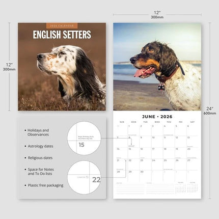 Red Robin Engelse Setter Kalender 2026