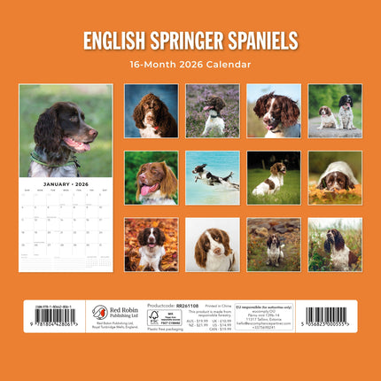Red Robin Engelse Springer Spaniel Kalender 2026