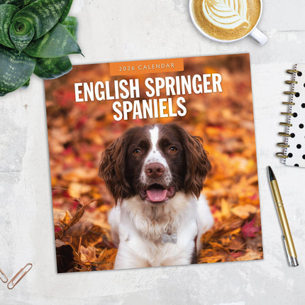 Red Robin Engelse Springer Spaniel Kalender 2026