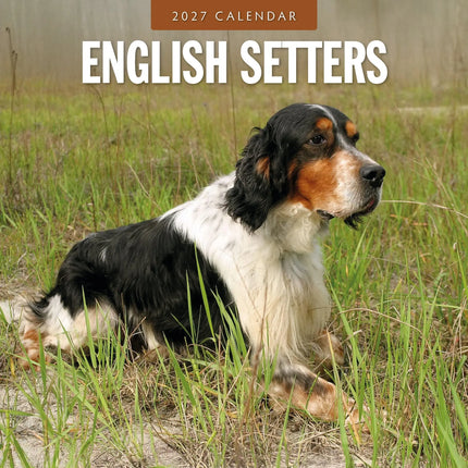 Red Robin English Setter Kalender 2027