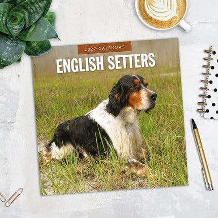 Red Robin English Setter Kalender 2027