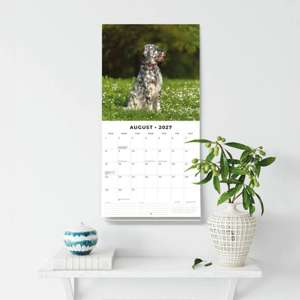 Red Robin English Setter Kalender 2027