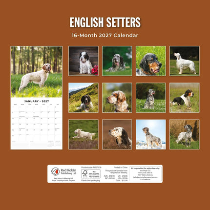Red Robin English Setter Kalender 2027