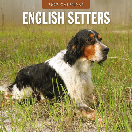 Red Robin English Setter Kalender 2027