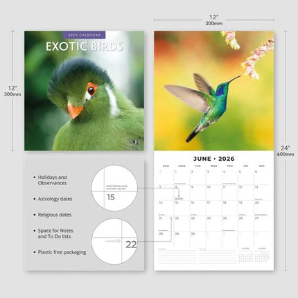Red Robin Exotic Birds Kalender 2026