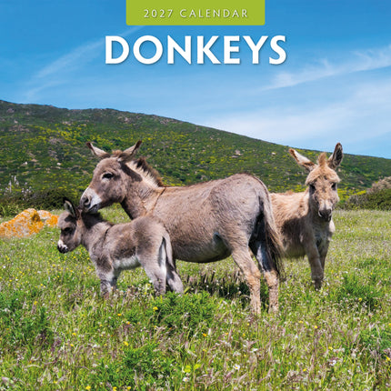 Red Robin Ezel Kalender 2027