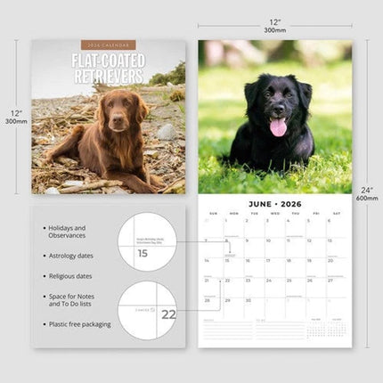 Red Robin Flatcoated Retriever Kalender 2026