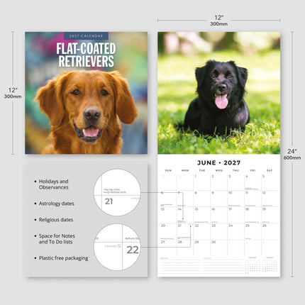 Red Robin Flatcoated Retriever Kalender 2027