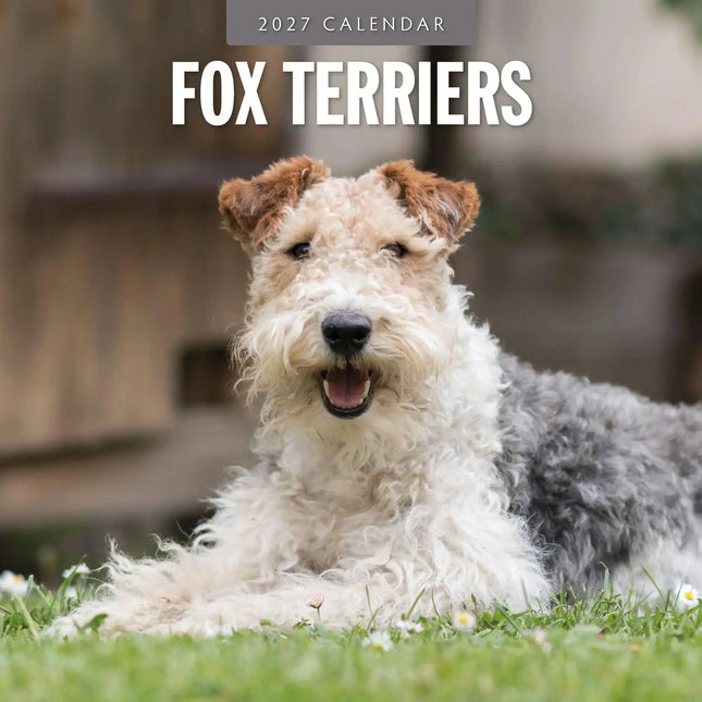 Red Robin Fox Terrier Kalender 2027