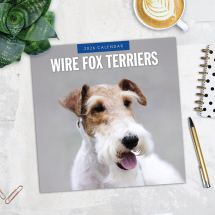 Red Robin Fox Terrier Ruwhaar Kalender 2026