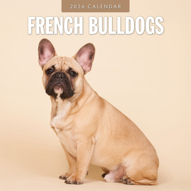 Red Robin Franse Bulldog Kalender 2026