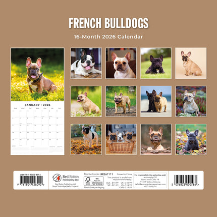 Red Robin Franse Bulldog Kalender 2026