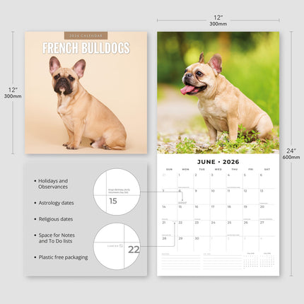 Red Robin Franse Bulldog Kalender 2027