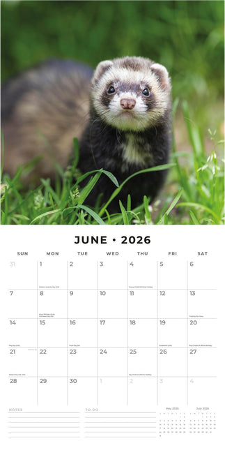 Red Robin Fretten Kalender 2026