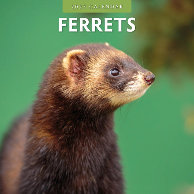 Red Robin Fretten Kalender 2027