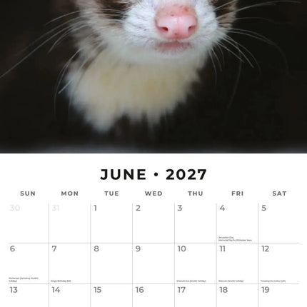 Red Robin Fretten Kalender 2027