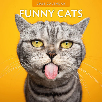 Red Robin Funny Cats Kalender 2026