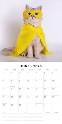Red Robin Funny Cats Kalender 2026