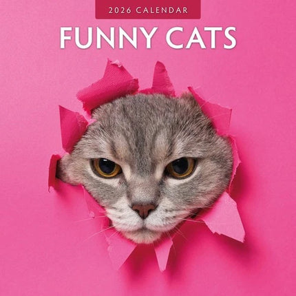 Red Robin Funny Cats Kalender 2026