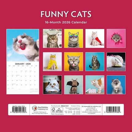 Red Robin Funny Cats Kalender 2026