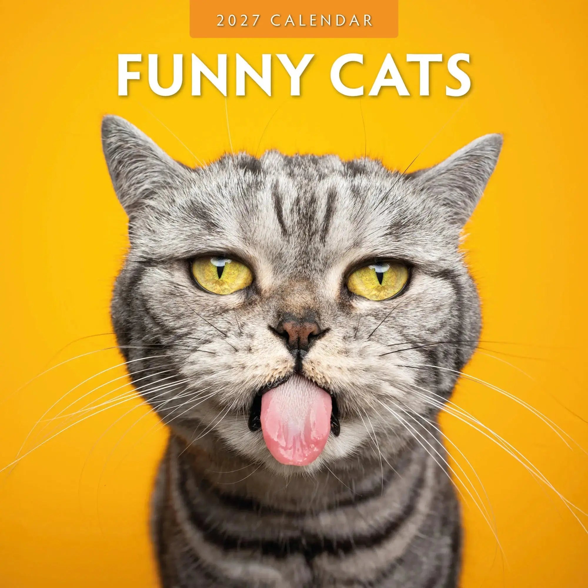 Plenty Gifts kalender kittens i love 2026 30 x 30 cm kopen Plenty Gifts kalender kittens i love 2026 30 x 30 cm kopen