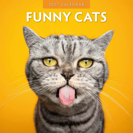 Red Robin Funny Cats Kalender 2027