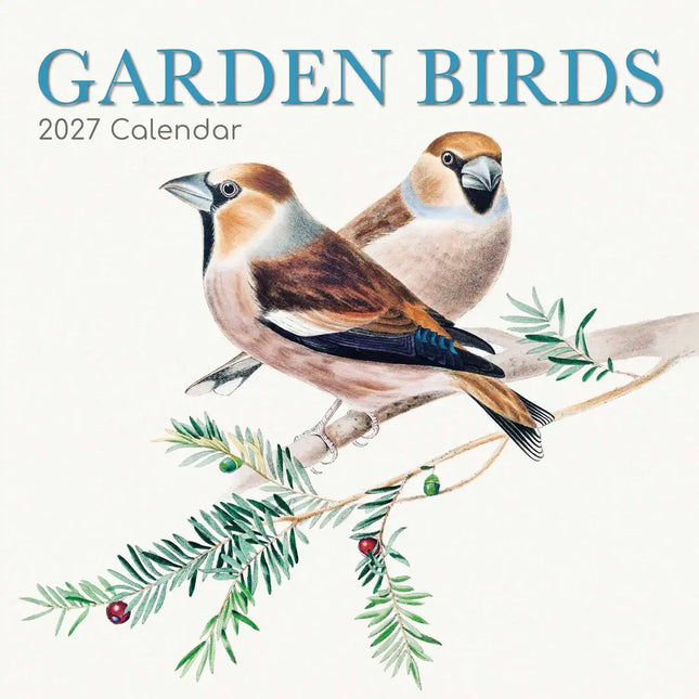 Red Robin Garden Birds Kalender 2027