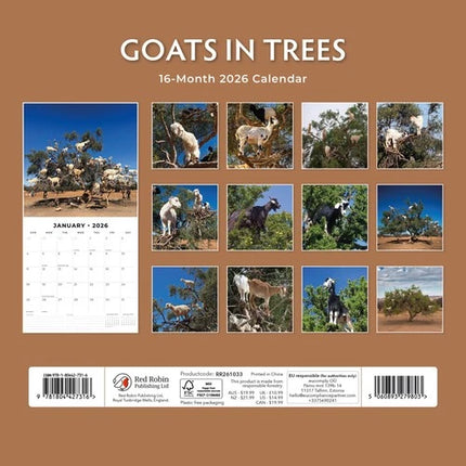 Red Robin Goats in Trees Kalender 2026