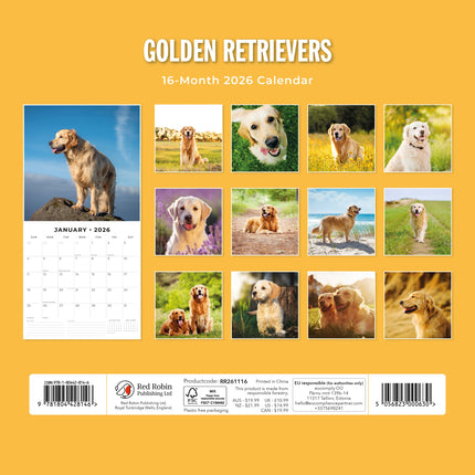 Red Robin Golden Retriever Kalender 2027