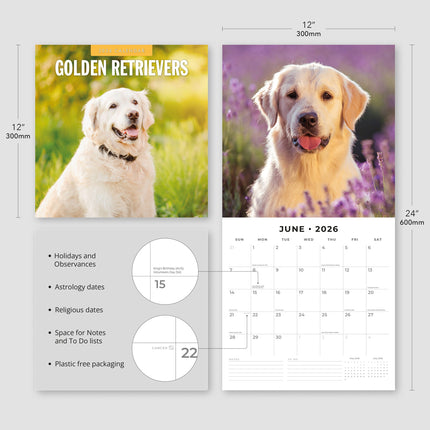 Red Robin Golden Retriever Kalender 2027