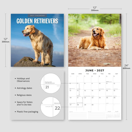 Red Robin Golden Retriever Kalender 2027