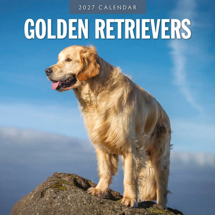 Red Robin Golden Retriever Kalender 2027