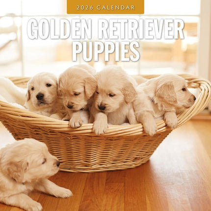 Red Robin Golden Retriever Puppies Kalender 2026