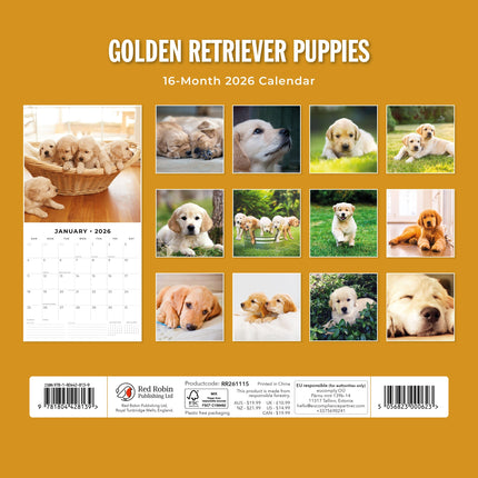 Red Robin Golden Retriever Puppies Kalender 2027