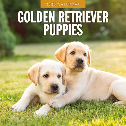 Red Robin Golden Retriever Puppies Kalender 2027