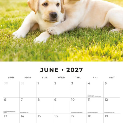 Red Robin Golden Retriever Puppies Kalender 2027