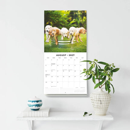 Red Robin Golden Retriever Puppies Kalender 2027