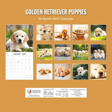 Red Robin Golden Retriever Puppies Kalender 2027