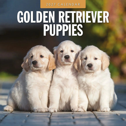 Red Robin Golden Retriever Puppies Kalender 2027