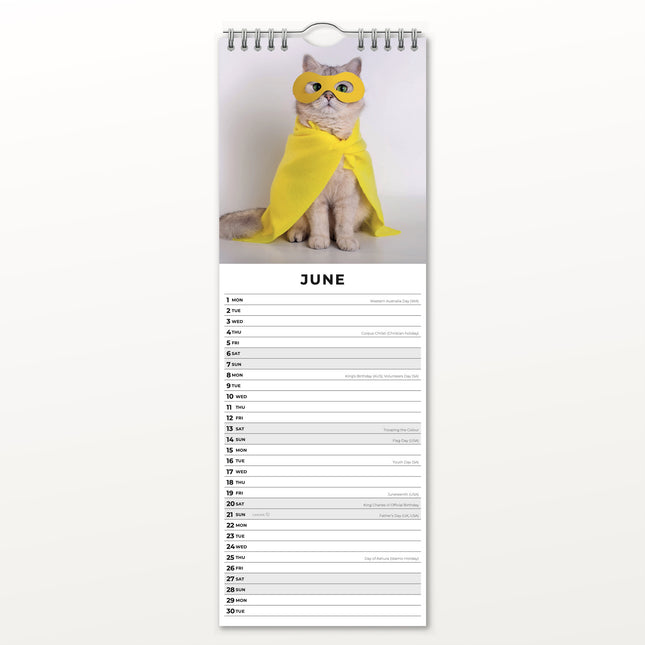 Red Robin Grappige Katten Slimline Kalender 2026