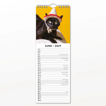 Red Robin Grappige Katten Slimline Kalender 2027