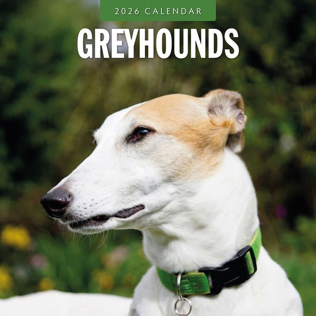 Red Robin Greyhound Kalender 2026