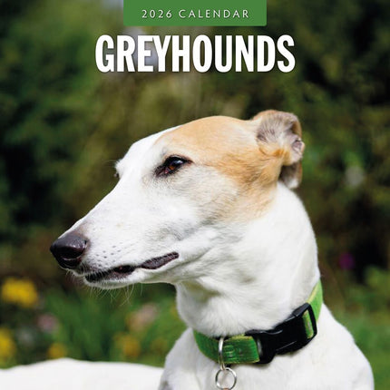 Red Robin Greyhound Kalender 2026
